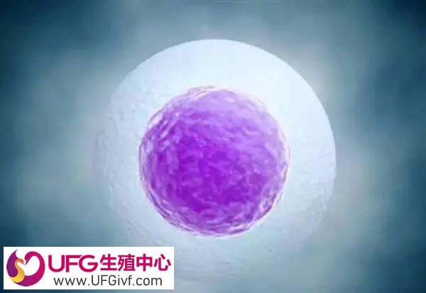 试管移植后是不是一定要平躺