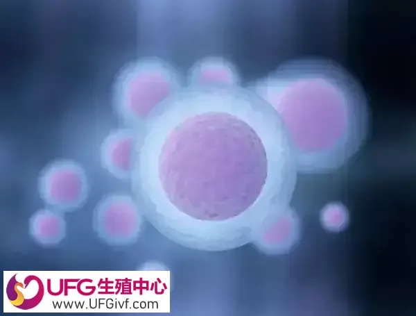 卵泡破裂会不会肚子疼